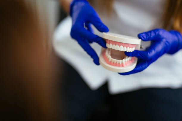 Trusted La Fayette, AL  Holistic Dental Services Experts